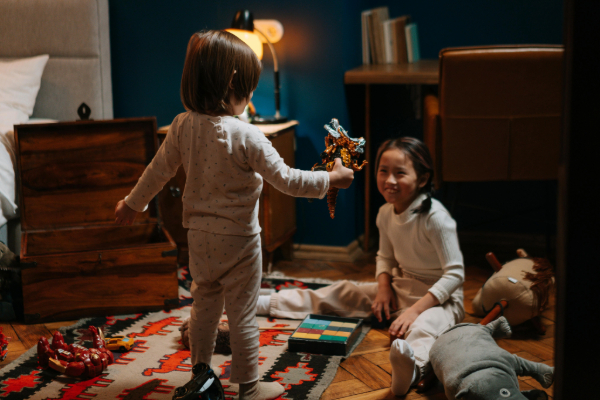 Cognitive Development